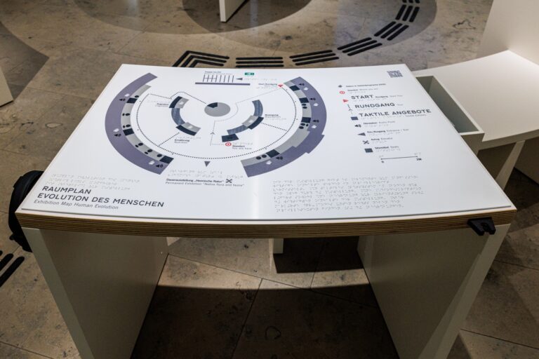 Evolution des Menschen © Mathias Vielsäcker, Naturkundemuseum Karlsruhe