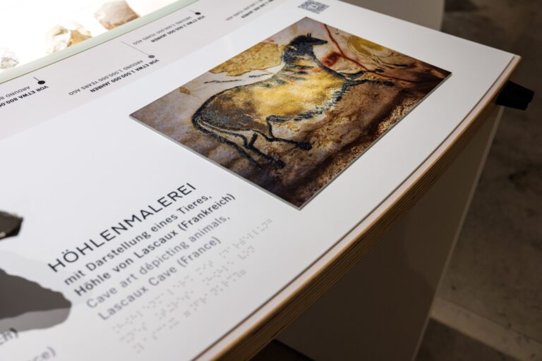 Evolution des Menschen © Mathias Vielsäcker, Naturkundemuseum Karlsruhe